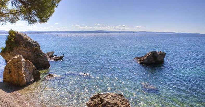 Un angolo di spiaggia tropicale: a Trieste, Passeggio per Miramare.
Oggi nulla mi salva dal mettermi un'oretta al sole stile lucertola.
(Foto presa dal sito: divulgando.eu). Questa vado a scattarla anch'io domani o dopodomani